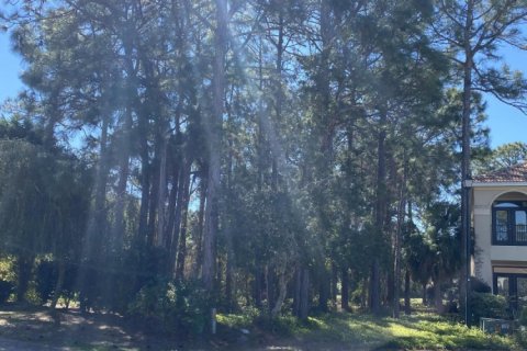 Land in Miramar Beach, Florida № 562489 - photo 1