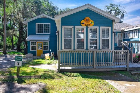 House in Gainesville, Florida 5 bedrooms, 278.24 sq.m. № 2113332 - photo 2