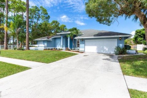 Villa ou maison à Wellington, Floride 3 chambres, 192.68 m2 № 2246047