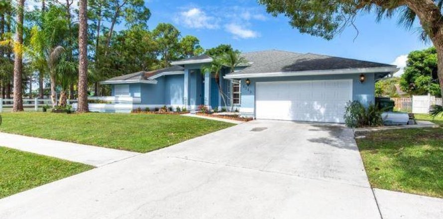 Villa ou maison à Wellington, Floride 3 chambres, 192.68 m2 № 2246047