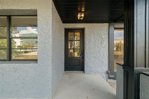 House in Tampa, Florida 3 bedrooms, 217.39 sq.m. № 2151979 - photo 3