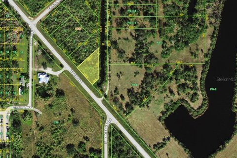 Land in Punta Gorda, Florida № 2145158 - photo 2