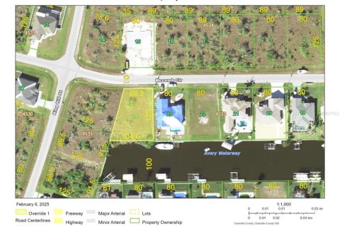 Land in Port Charlotte, Florida № 1521040 - photo 5