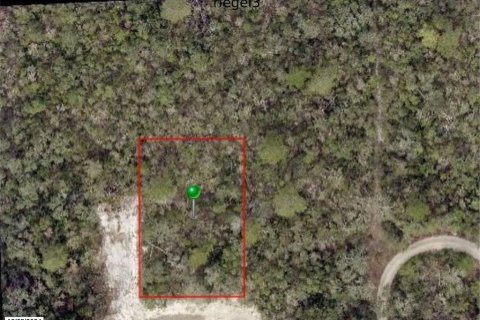 Land in Orange City, Florida № 2205578 - photo 3