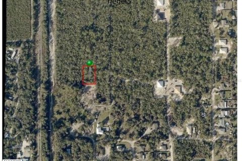 Land in Orange City, Florida № 2205578 - photo 5