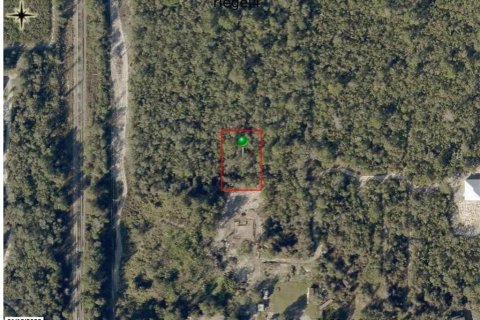 Land in Orange City, Florida № 2205578 - photo 4