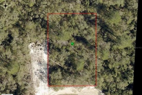 Land in Orange City, Florida № 2205578 - photo 2