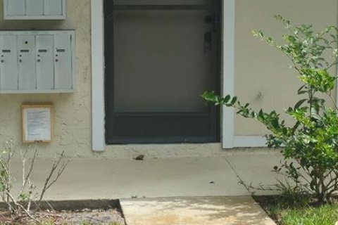 Villa ou maison à louer à Palm Harbor, Floride: 1 chambre, 65.68 m2 № 1538554 - photo 1