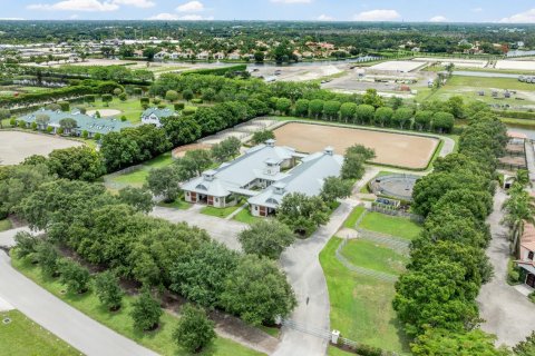 Villa ou maison à vendre à Wellington, Floride: 3 chambres, 384.34 m2 № 2184138 - photo 3