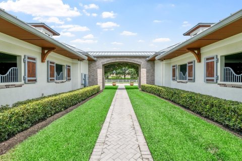 Villa ou maison à vendre à Wellington, Floride: 3 chambres, 384.34 m2 № 2184138 - photo 12