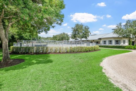 Villa ou maison à vendre à Wellington, Floride: 3 chambres, 384.34 m2 № 2184138 - photo 20