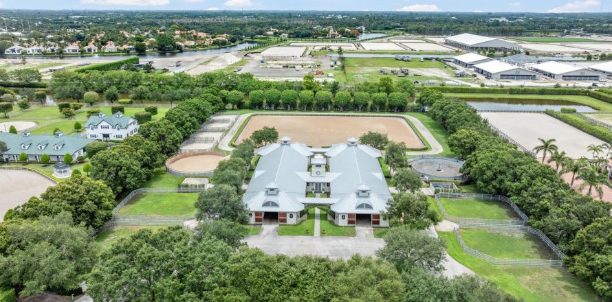 Villa ou maison à Wellington, Floride 3 chambres, 384.34 m2 № 2184138