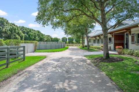 Villa ou maison à vendre à Wellington, Floride: 3 chambres, 384.34 m2 № 2184138 - photo 13