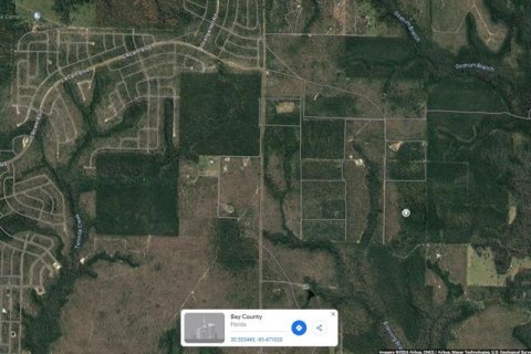 Land in Fountain, Florida № 2213769 - photo 4
