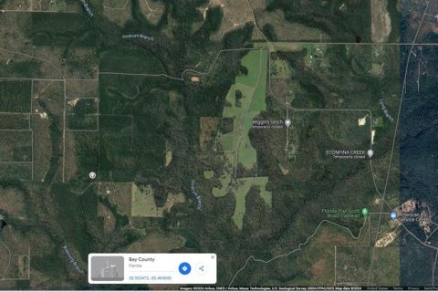 Land in Fountain, Florida № 2213769 - photo 3