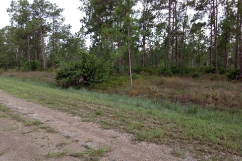 Terreno en venta en Lehigh Acres, Florida № 2223842 - foto 5