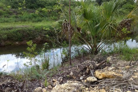Terreno en venta en Lehigh Acres, Florida № 2223842 - foto 3