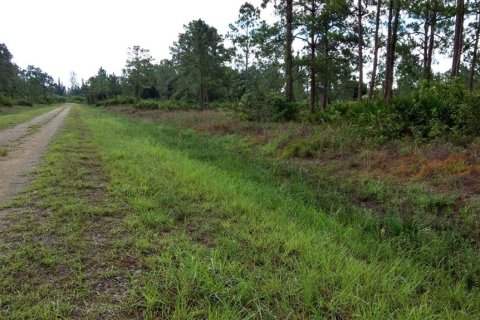 Terreno en venta en Lehigh Acres, Florida № 2223842 - foto 4