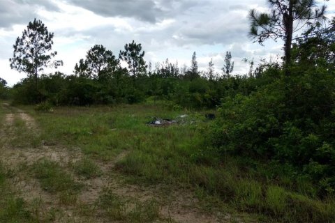Land in Lehigh Acres, Florida № 2223842
