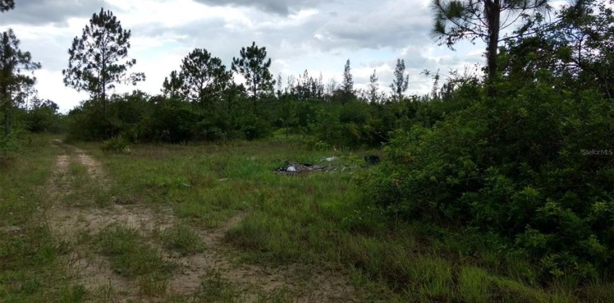 Terreno en Lehigh Acres, Florida № 2223842