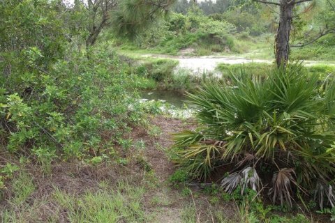 Terreno en venta en Lehigh Acres, Florida № 2223842 - foto 2