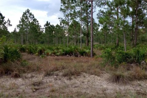 Terreno en venta en Lehigh Acres, Florida № 2223842 - foto 6