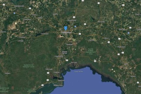 Land in Tallahassee, Florida № 1801525 - photo 7