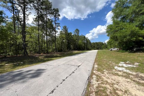 Terrain à vendre à Ocala, Floride № 1733949 - photo 3