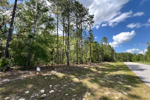 Terrain à vendre à Ocala, Floride № 1733949 - photo 7