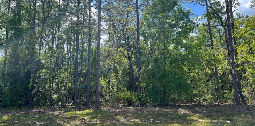 Terreno en Ocala, Florida № 1733949