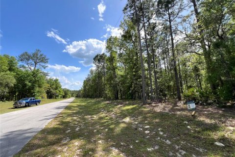 Terrain à vendre à Ocala, Floride № 1733949 - photo 8