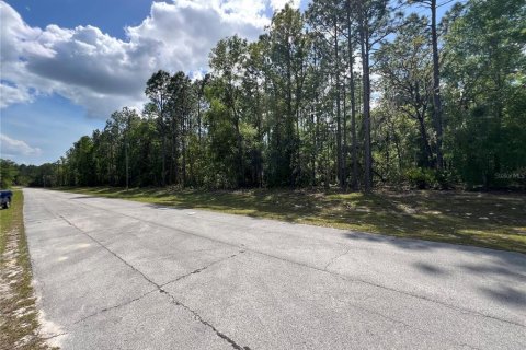 Terrain à vendre à Ocala, Floride № 1733949 - photo 4