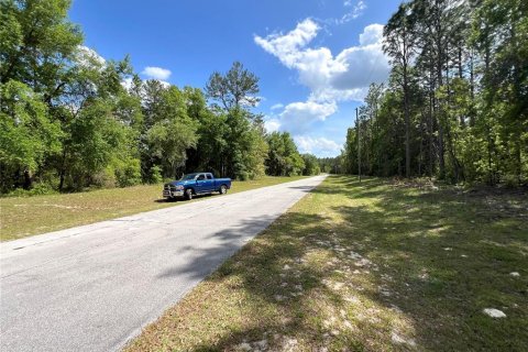 Terrain à vendre à Ocala, Floride № 1733949 - photo 6
