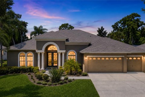 House in Land O' Lakes, Florida 4 bedrooms, 307.88 sq.m. № 2347149