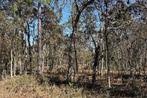 Land in Dunnellon, Florida № 2158998