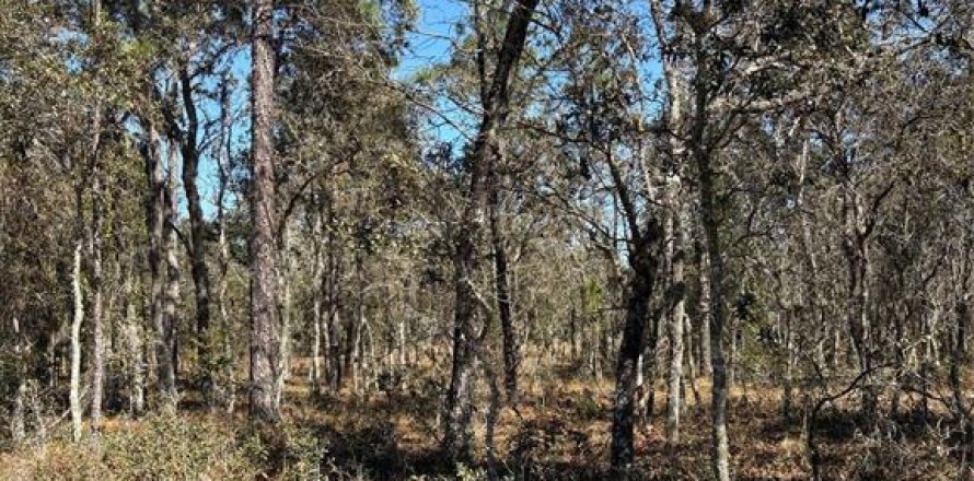 Land in Dunnellon, Florida № 2158998