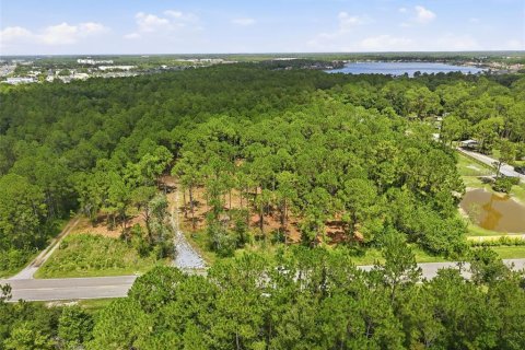 Land in Odessa, Florida № 2147823 - photo 5
