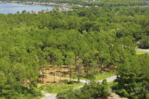 Land in Odessa, Florida № 2147823 - photo 15