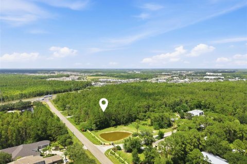 Land in Odessa, Florida № 2147823 - photo 25