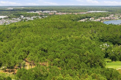 Land in Odessa, Florida № 2147823 - photo 17