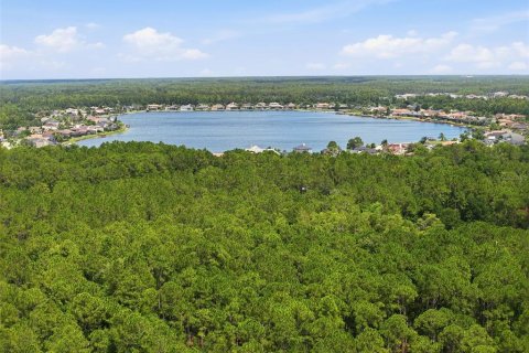 Land in Odessa, Florida № 2147823 - photo 14