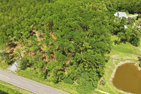 Land in Odessa, Florida № 2147823 - photo 13