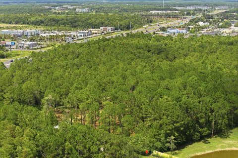 Land in Odessa, Florida № 2147823 - photo 18