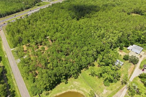 Land in Odessa, Florida № 2147823 - photo 20