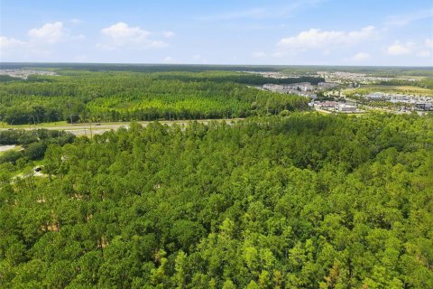 Land in Odessa, Florida № 2147823 - photo 11