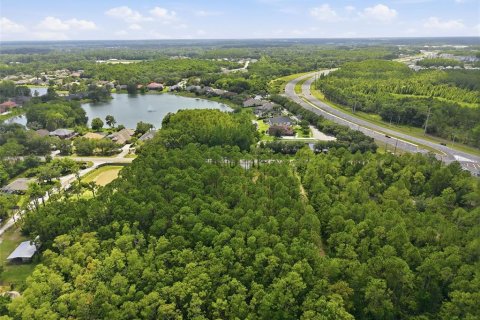 Land in Odessa, Florida № 2147823 - photo 23