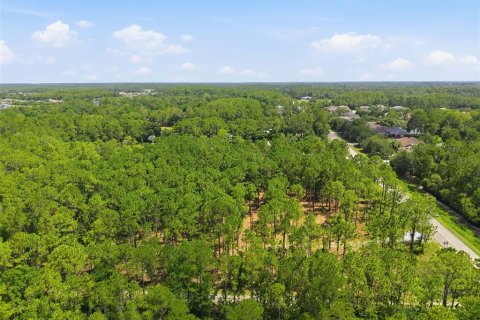 Land in Odessa, Florida № 2147823 - photo 8