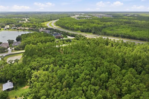 Land in Odessa, Florida № 2147823 - photo 24