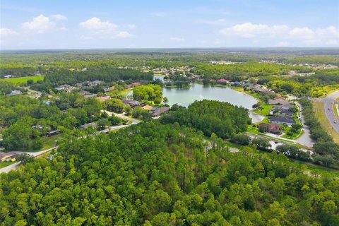 Land in Odessa, Florida № 2147823 - photo 22