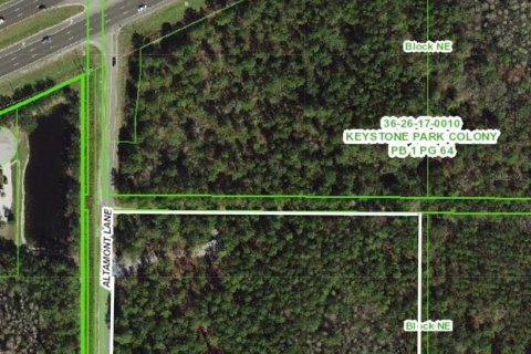 Land in Odessa, Florida № 2147823 - photo 3